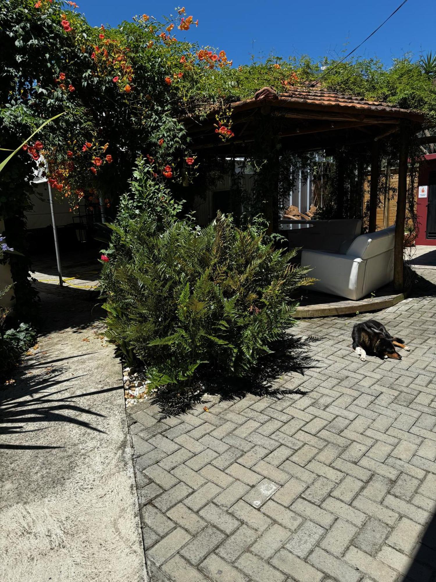 Pousada Upserra Urubici Ngoại thất bức ảnh